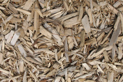 biomass boilers Pig Oak
